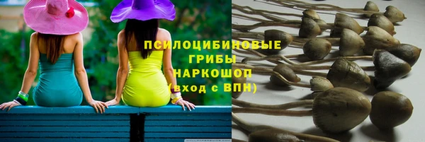 ПСИЛОЦИБИНОВЫЕ ГРИБЫ Няндома