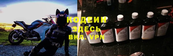 ПСИЛОЦИБИНОВЫЕ ГРИБЫ Няндома
