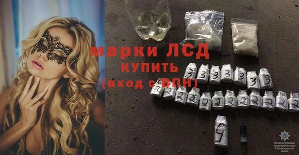 ПСИЛОЦИБИНОВЫЕ ГРИБЫ Няндома