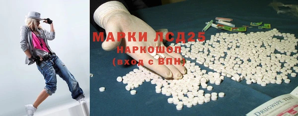 ПСИЛОЦИБИНОВЫЕ ГРИБЫ Няндома