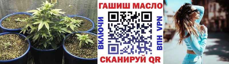 Купить закладки  Закаменск  ТГК THC oil 